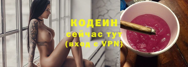 амф Козельск