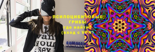ГАЛЛЮЦИНОГЕННЫЕ ГРИБЫ Костерёво