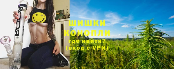 ГАЛЛЮЦИНОГЕННЫЕ ГРИБЫ Костерёво