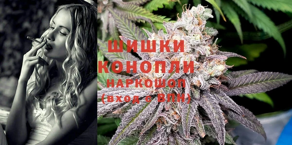 амф Козельск
